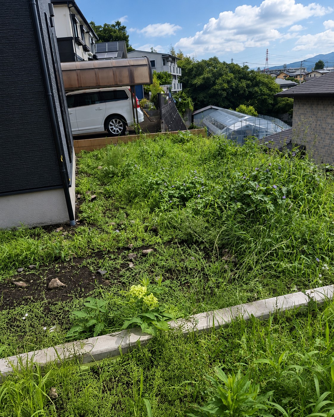 沼津市 お庭リフォーム 施工前 雑草が茂ったお庭