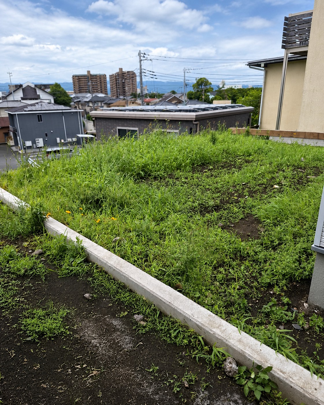 沼津市 お庭リフォーム 施工前 雑草に覆われた庭 別アングル